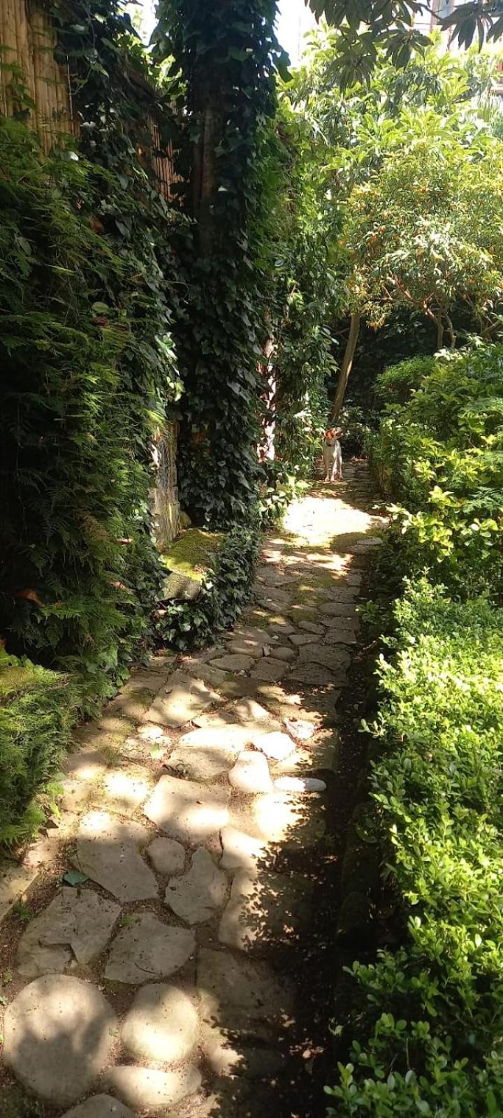 Villa L'Antica Dimora à Meta Extérieur photo
