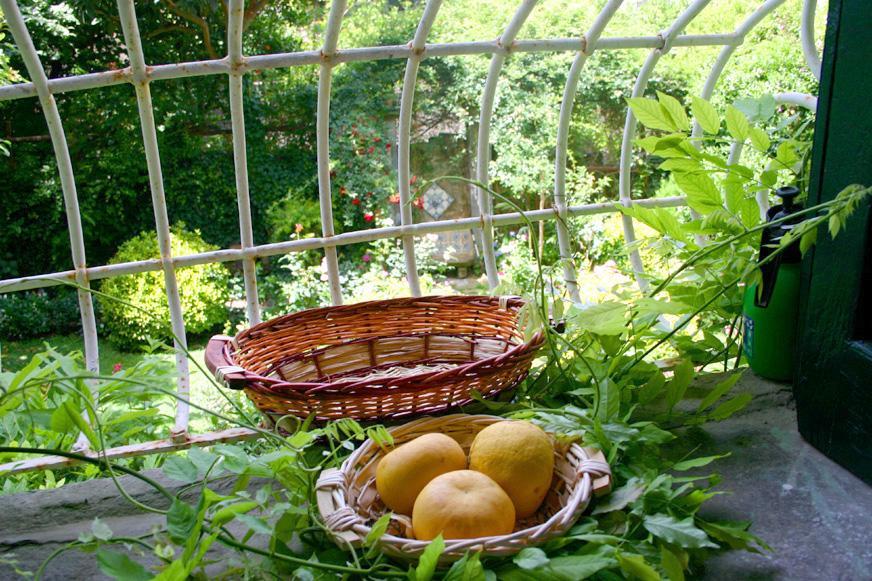 Villa L'Antica Dimora à Meta Extérieur photo